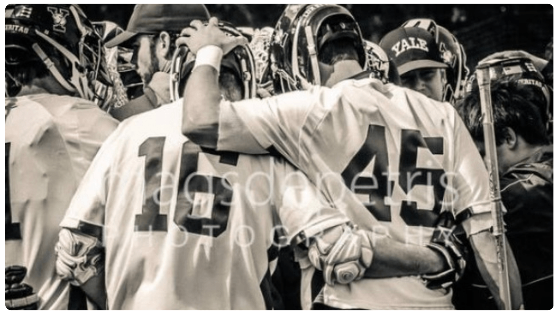 Winning the Game of Life through Teamwork